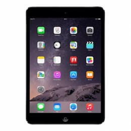 iPad mini (2013) 16 Go - WiFi - Tähtiharmaa