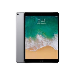 iPad Pro 10.5 (2017) 1. sukupolvi 512 Go - WiFi + 4G - Tähtiharmaa