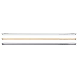 iPad mini (2015) 4. sukupolvi 64 Go - WiFi + 4G - Tähtiharmaa