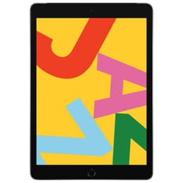 iPad 10.2 (2019) 7. sukupolvi 32 Go - WiFi + 4G - Tähtiharmaa