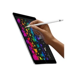 iPad Pro 10.5 (2017) 1. sukupolvi 256 Go - WiFi - Hopea