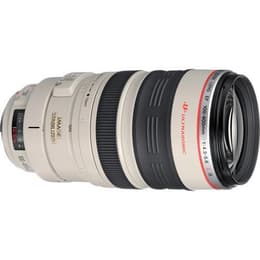 Canon Objektiivi EF 100-400mm f/4.5-5.6