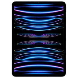 iPad Pro 11" (2022) 4. sukupolvi 2000 GB - WiFi - Hopea