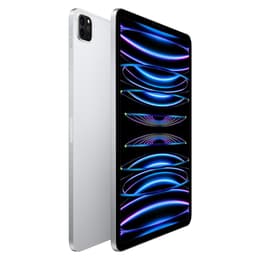 iPad Pro 11" (2022) 4. sukupolvi 2000 GB - WiFi - Hopea