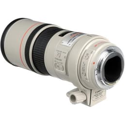 Objektiivi EF 300mm f/4