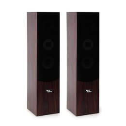 Evidence Acoustics EA700-WAL PA-kaiutin