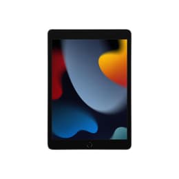 iPad 10.2 (2021) 9. sukupolvi 256 Go - WiFi + 4G - Tähtiharmaa