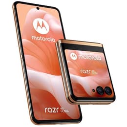 Motorola Razr 40 Ultra 256GB - Oranssi - Lukitsematon