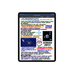 iPad Pro 12.9 (2021) 5. sukupolvi 256 Go - WiFi - Hopea