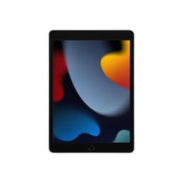 iPad 10.2" (2021) 9. sukupolvi 256 GB - WiFi - Hopea