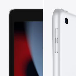 iPad 10.2" (2021) 9. sukupolvi 256 GB - WiFi - Hopea