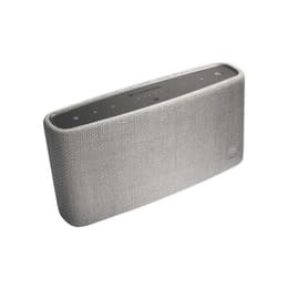 Cambridge Yoyo (S) Speaker Bluetooth - Harmaa