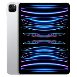 iPad Pro 11" (2022) 4. sukupolvi 1000 GB - WiFi - Hopea