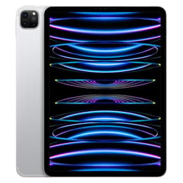 iPad Pro 11" (2022) 4. sukupolvi 1000 GB - WiFi + 5G - Hopea