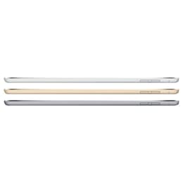 iPad mini (2015) 4. sukupolvi 64 Go - WiFi + 4G - Tähtiharmaa