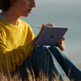 iPad mini (2021) 6. sukupolvi 64 Go - WiFi + 5G - Tähtiharmaa