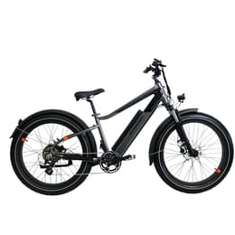 Rad Power Bikes RadRhino 6 Plus Sähköpyörä