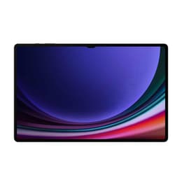 Galaxy Tab S9 Ultra 256GB - Harmaa - WiFi
