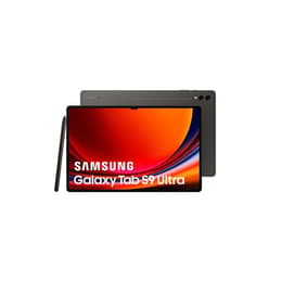 Galaxy Tab S9+ 256GB - Harmaa - WiFi + 5G