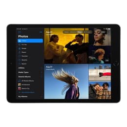 iPad 10.2" (2019) 7. sukupolvi 128 GB - WiFi - Tähtiharmaa
