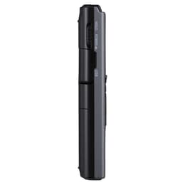 Olympus VN-731PC Sanelulaite