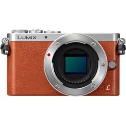 Kamerat Panasonic Lumix DMC-GM1