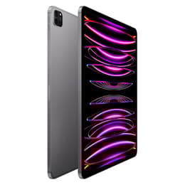 iPad Pro 12.9 (2022) 6. sukupolvi 128 Go - WiFi + 5G - Tähtiharmaa