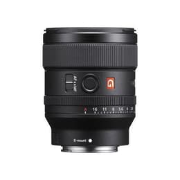 Sony Objektiivi 24mm f/1.4 GM FE Sony E 24mm f/1.4