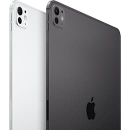 iPad Pro 13 M4 (2024) 7. sukupolvi 256 Go - WiFi - Space Black